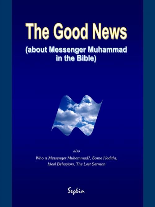 Cover of the book The Good News by Seckin Islamoglu, Seckin Publishing