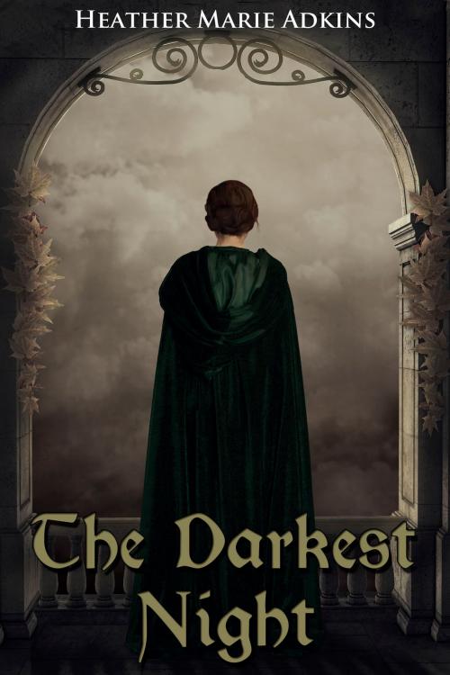 Cover of the book The Darkest Night by Heather Marie Adkins, CyberWitch Press LLC