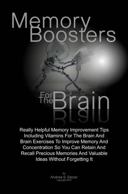 Cover of the book Memory Boosters For The Brain by Andrea S. Salzer, KMS Publishing