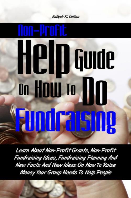 Cover of the book Non-Profit Help Guide On How To Do Fundraising by Aaliyah K. Collins, KMS Publishing