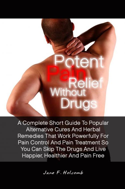 Cover of the book Potent Pain Relief Without Drugs by Jane F. Holcomb, KMS Publishing