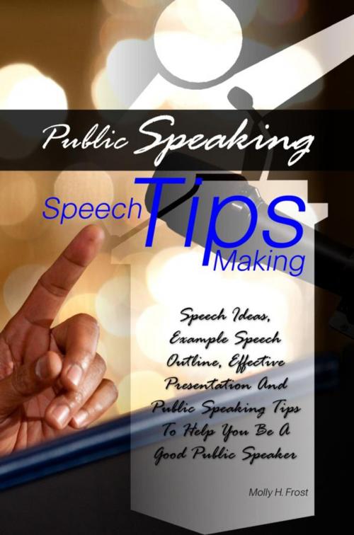 Cover of the book Public Speaking Speech Making Tips by Molly H. Frost, KMS Publishing
