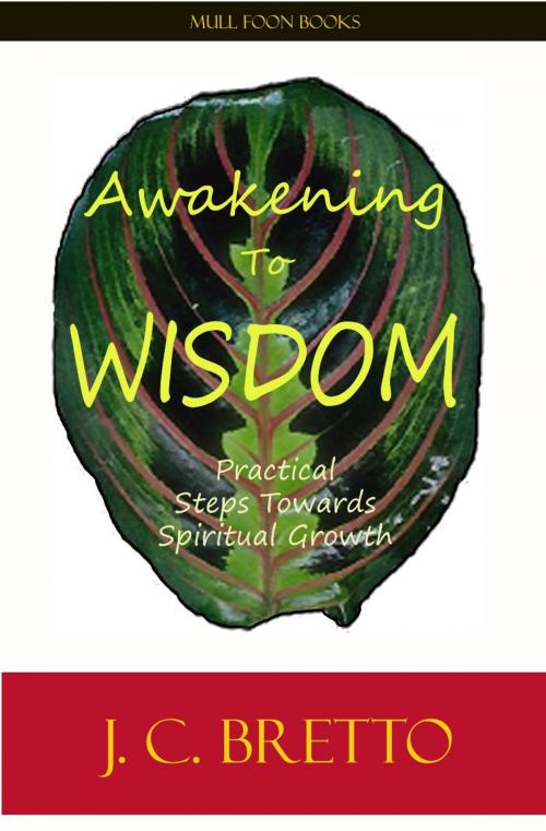 Cover of the book Awakening to Wisdom by J. C. Bretto, Mull Foon