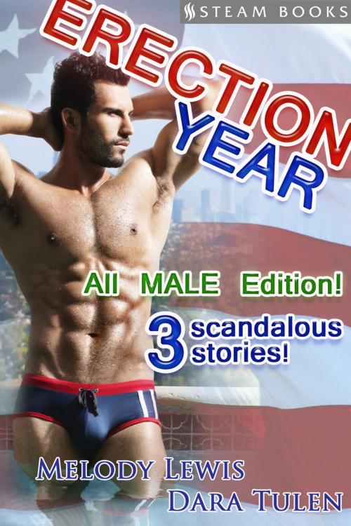 Cover of the book Erection Year All MALE Edition by Melody Lewis, Dara Tulen, Steam Books, Steam Books