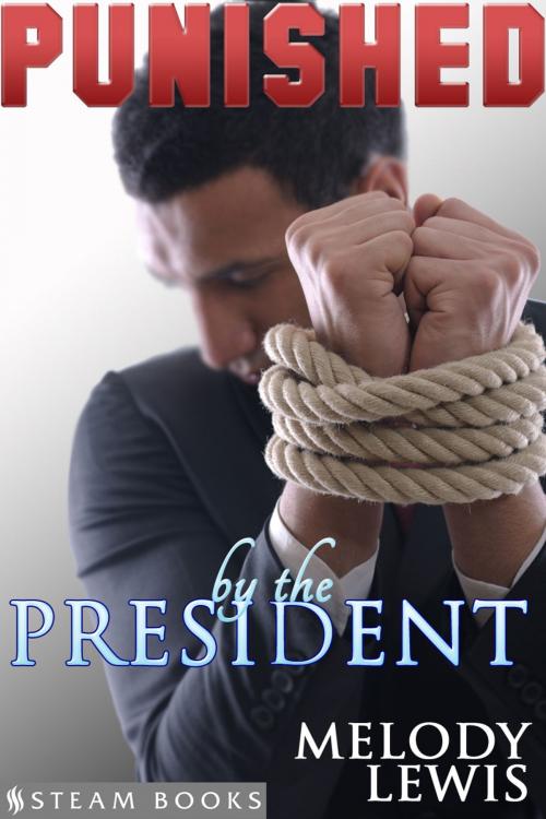 Cover of the book Punished by the President by Melody Lewis, Steam Books, Steam Books