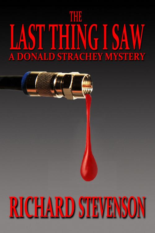 Cover of the book The Last Thing I Saw by Richard Stevenson, MLR Press