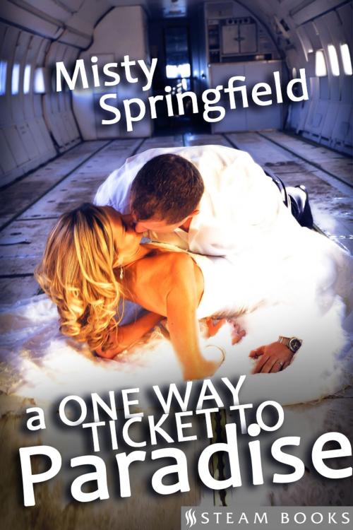Cover of the book A One Way Ticket to Paradise by Misty Springfield, Steam Books, Steam Books
