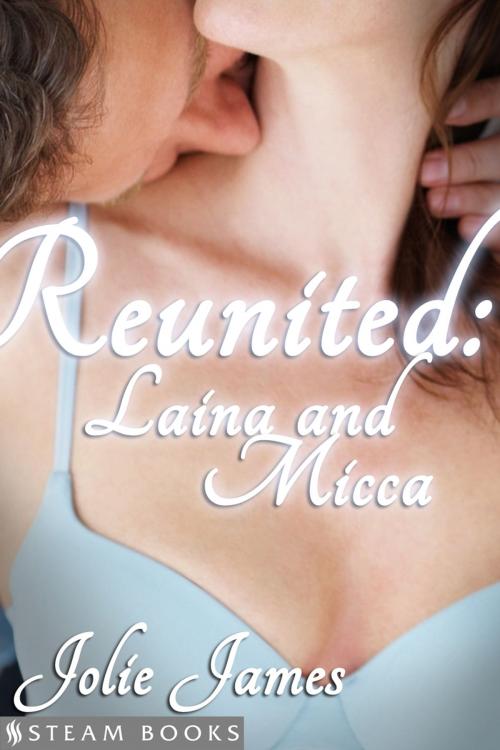 Cover of the book Reunited: Laina and Micca by Jolie James, Steam Books, Steam Books