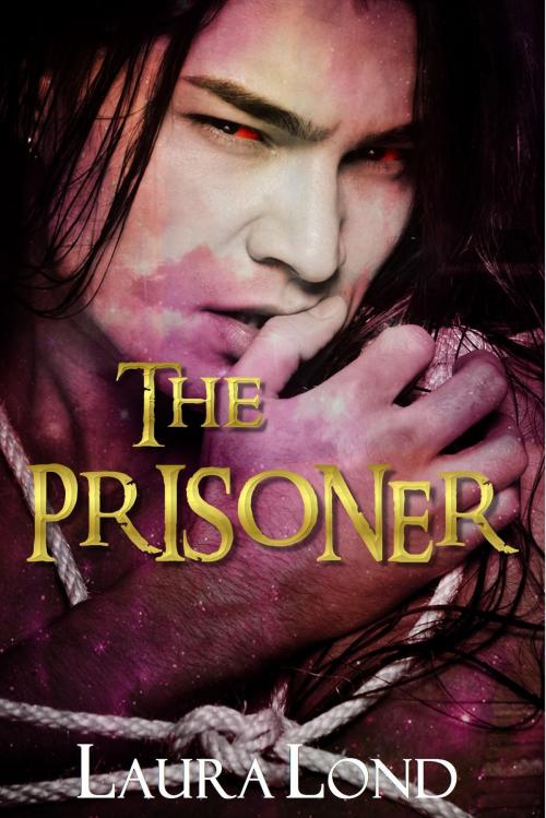 Cover of the book The Prisoner (The Dark Elf of Syron, #1) by Laura Lond, Laura Lond