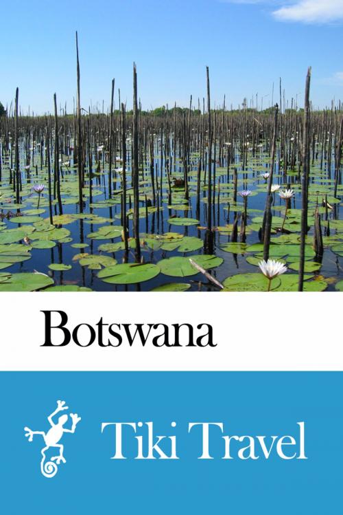 Cover of the book Botswana Travel Guide - Tiki Travel by Tiki Travel, Tiki Travel