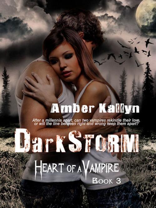 Cover of the book Darkstorm (Heart of a Vampire, Book 3) by Amber Kallyn, Dragon Heart Books