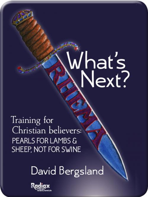 Cover of the book What's next? by David Bergsland, Radiqx Press