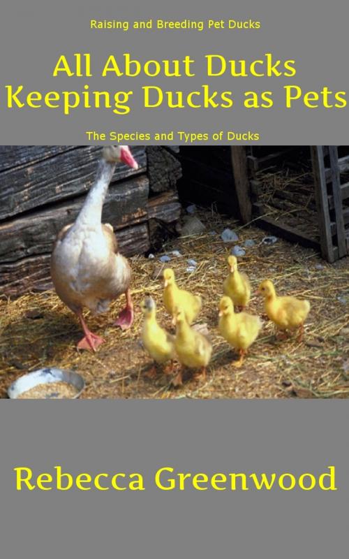 Cover of the book All About Ducks: Keeping Ducks as Pets by Rebecca Greenwood, Ramsey Ponderosa Publishing