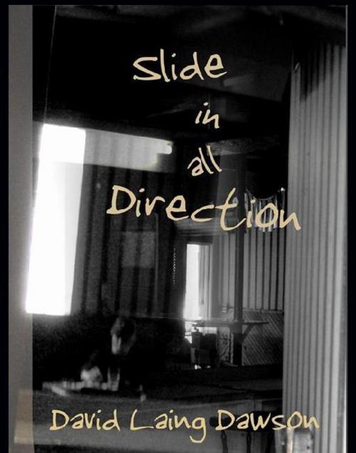 Cover of the book Slide in all Direction by David Laing Dawson, Bridgeross Communications