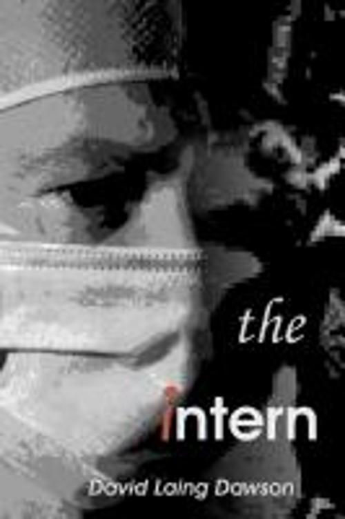 Cover of the book The Intern by David Laing Dawson, Bridgeross Communications
