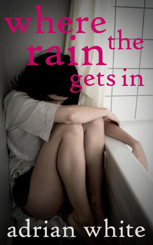Cover of the book Where the Rain Gets In by Adrian White, Lynskeybooks