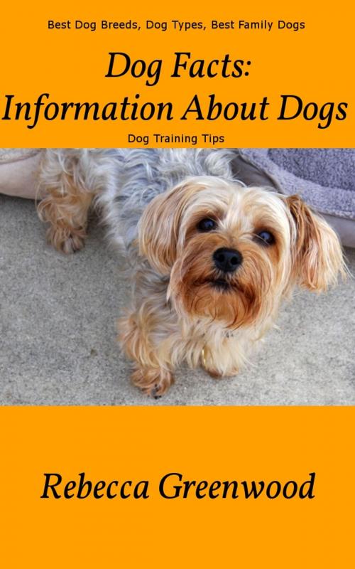 Cover of the book Dog Facts: Information About Dogs by Rebecca Greenwood, Ramsey Ponderosa Publishing