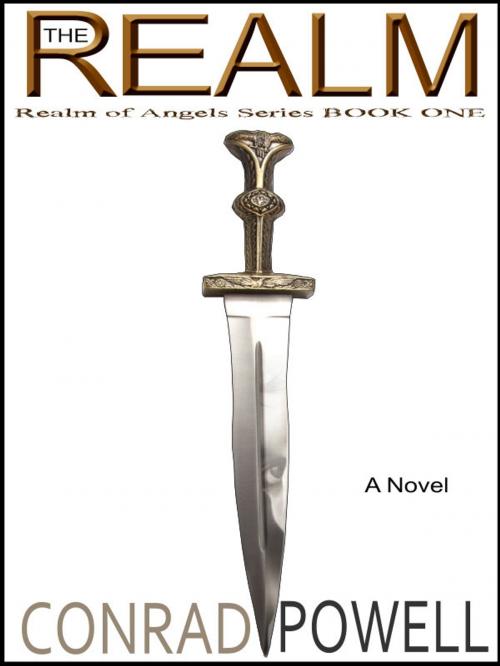 Cover of the book The Realm: A Novel (Realm of Angels Series, Book One) by Conrad Powell, First World Publishing