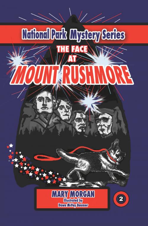 Cover of the book The Face at Mount Rushmore by Mary Morgan, Buttonwood Press