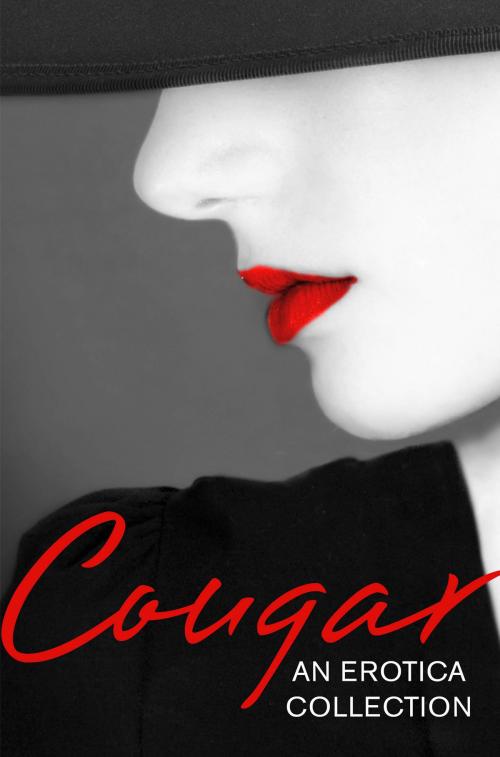 Cover of the book Cougar: An Erotica Collection by Lily Harlem, Primula Bond, Heather Towne, Elizabeth Coldwell, Kathleen Tudor, Giselle Renarde, Tenille Brown, Chrissie Bentley, Sandra Stevens, Kyoko Church, HarperCollins Publishers
