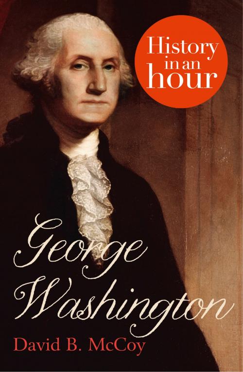 Cover of the book George Washington: History in an Hour by David B. McCoy, HarperCollins Publishers