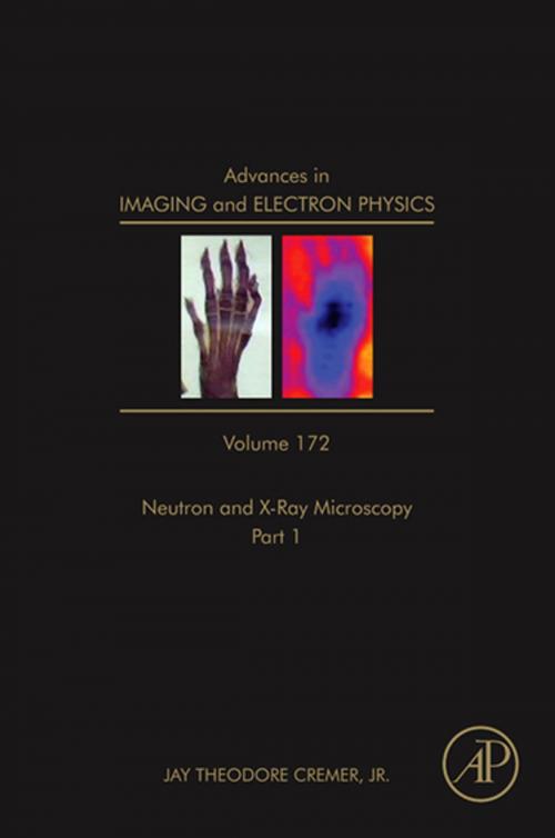 Cover of the book Advances in Imaging and Electron Physics by Jay Theodore Cremer, Jr., Elsevier Science