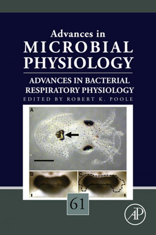 Cover of the book Advances in Bacterial Respiratory Physiology by Robert K. Poole, Elsevier Science