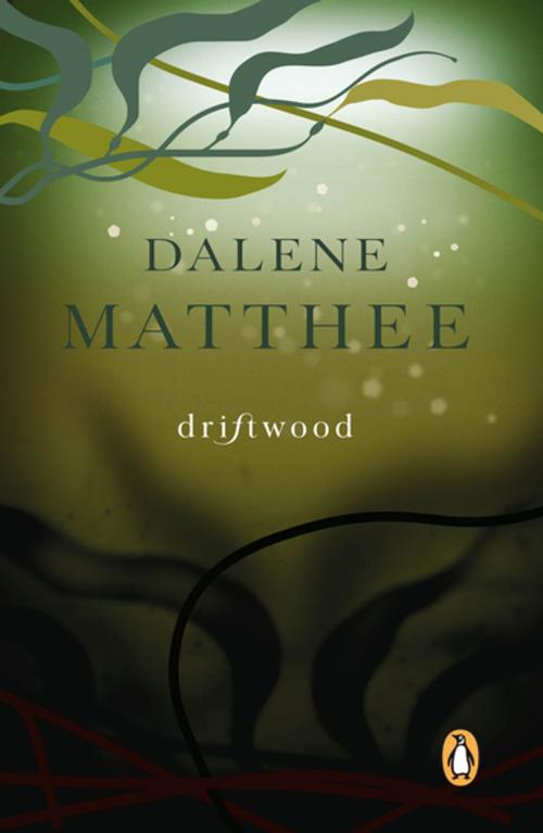 Cover of the book Driftwood by Dalene Matthee, Penguin Random House South Africa