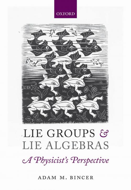 Cover of the book Lie Groups and Lie Algebras - A Physicist's Perspective by Adam M. Bincer, OUP Oxford