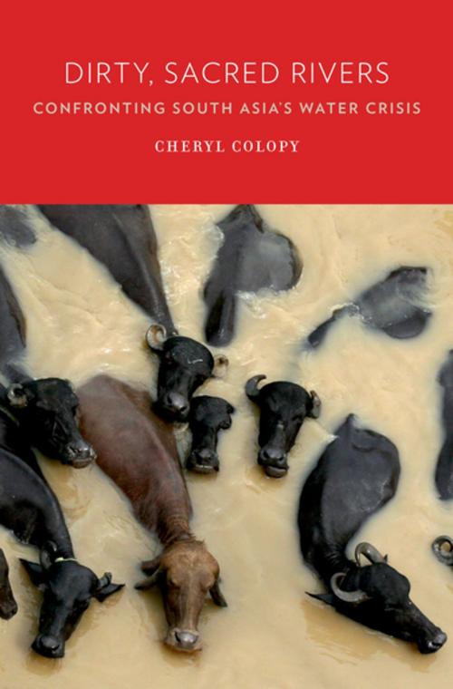 Cover of the book Dirty, Sacred Rivers by Cheryl Colopy, Oxford University Press