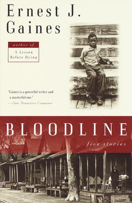 Cover of the book Bloodline by Ernest J. Gaines, Knopf Doubleday Publishing Group