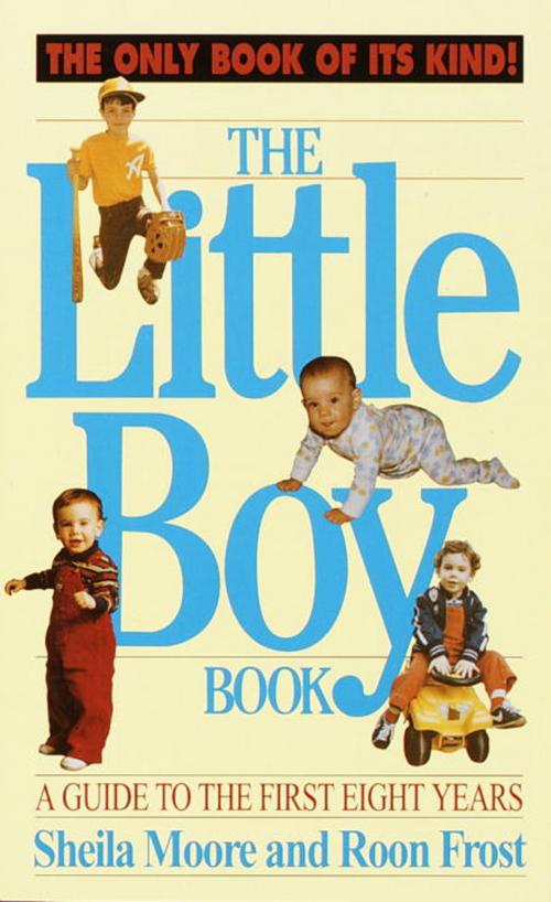 Cover of the book The Little Boy Book by Sheila Moore, Random House Publishing Group
