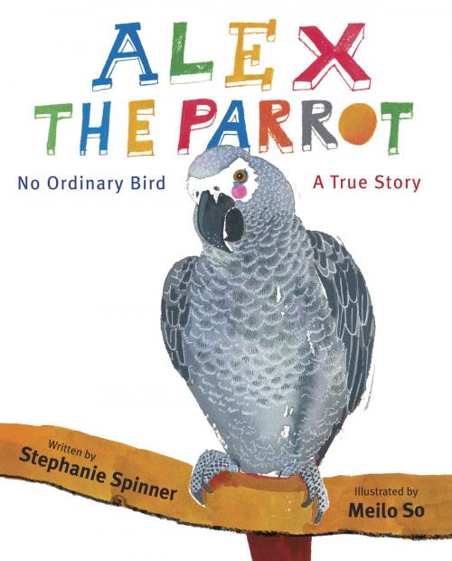 Cover of the book Alex the Parrot: No Ordinary Bird by Stephanie Spinner, Random House Children's Books