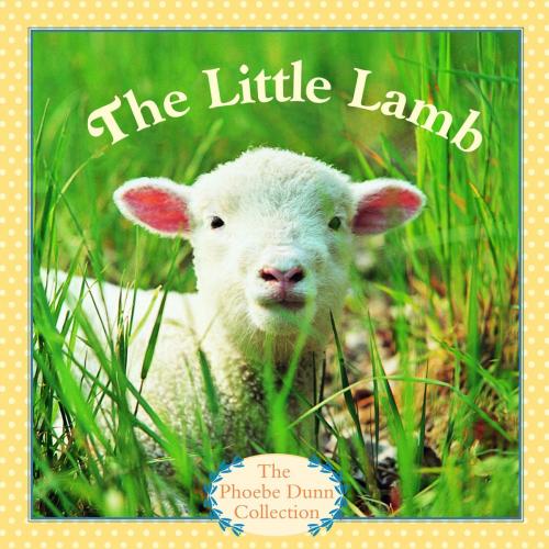 Cover of the book The Little Lamb by Phoebe Dunn, Random House Children's Books