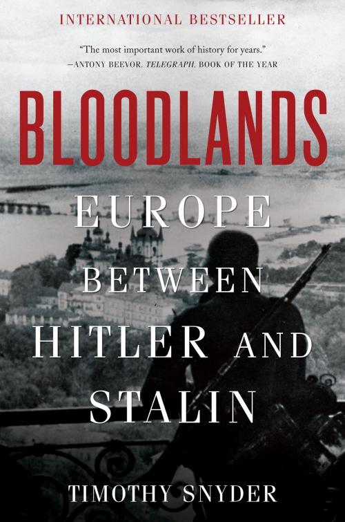 Cover of the book Bloodlands by Timothy Snyder, Basic Books