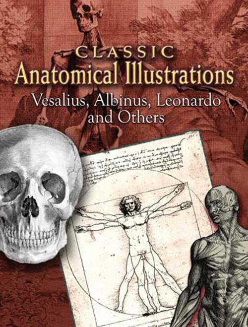 Cover of the book Classic Anatomical Illustrations by Leonardo, Vesalius, Albinus, Dover Publications