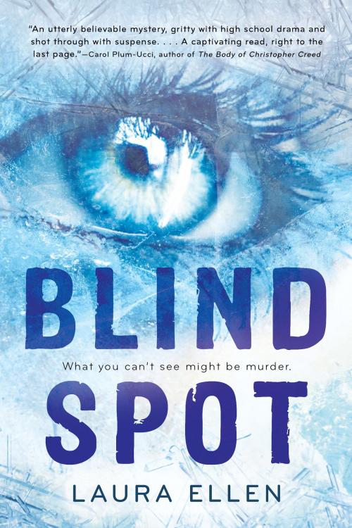 Cover of the book Blind Spot by Laura Ellen, HMH Books