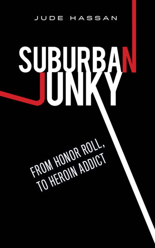 Cover of the book Suburban Junky by Jude Hassan, Hillcrest Media