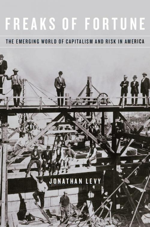 Cover of the book Freaks of Fortune by Jonathan Levy, Harvard University Press