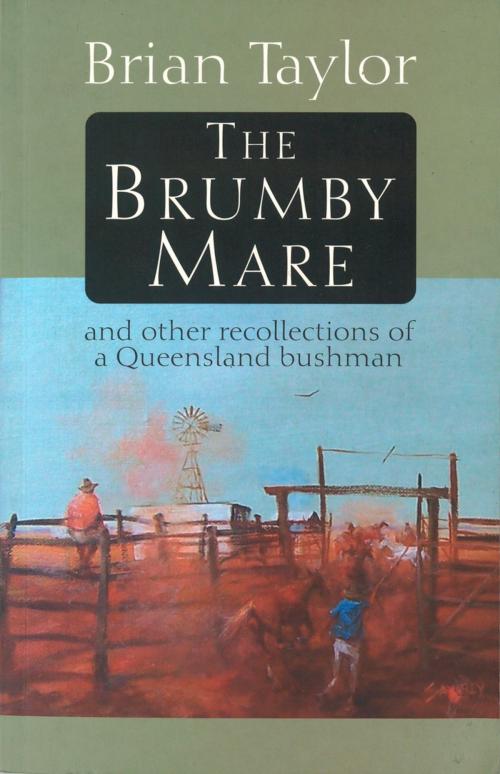 Cover of the book The Brumby Mare by Brian Taylor, Hachette Australia