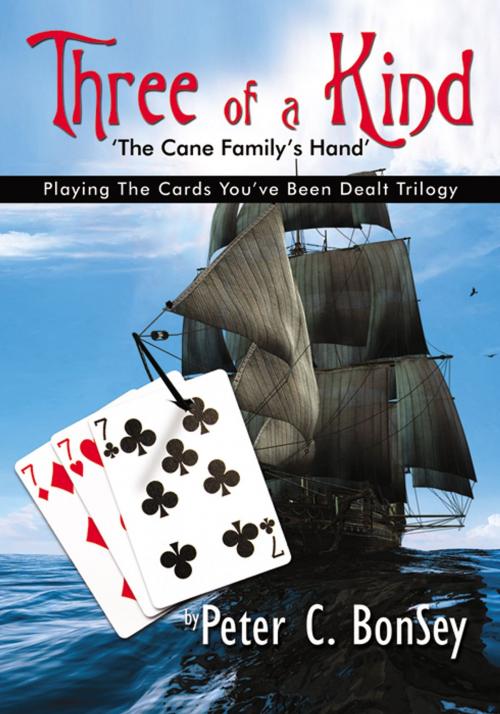 Cover of the book Three of A Kind: Playing The Cards You've Been Dealt Trilogy - The Cane Family's Hand by Peter C.  BonSey, Infinity Publishing