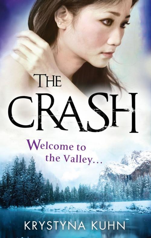 Cover of the book The Crash by Krystyna Kuhn, Little, Brown Book Group