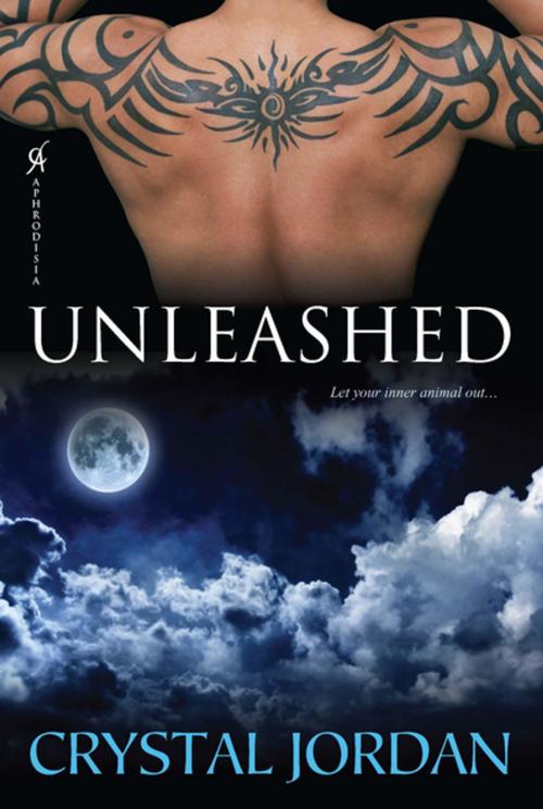 Cover of the book Unleashed by Crystal Jordan, Kensington Books