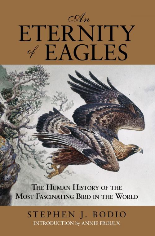 Cover of the book Eternity of Eagles by Stephen J. Bodio, Lyons Press