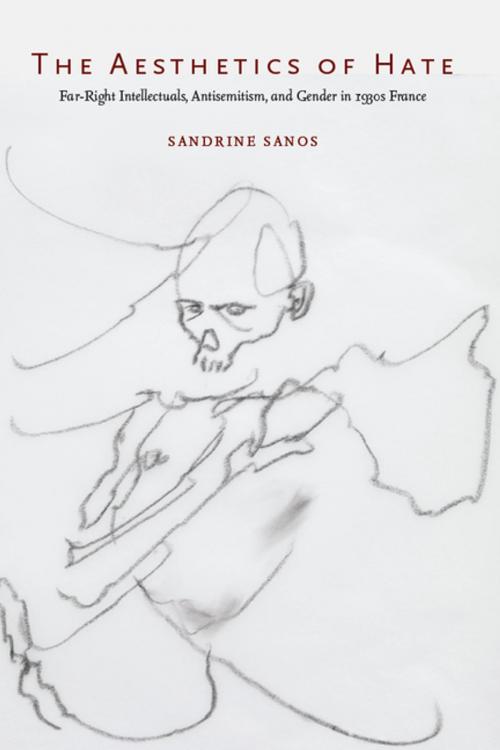 Cover of the book The Aesthetics of Hate by Sandrine Sanos, Stanford University Press