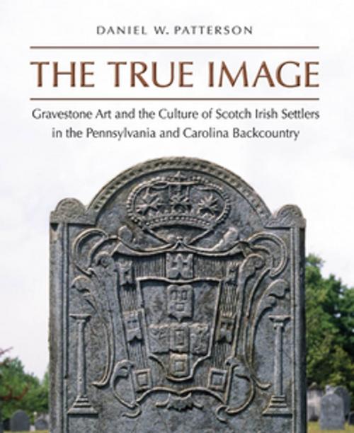 Cover of the book The True Image by Daniel W. Patterson, The University of North Carolina Press