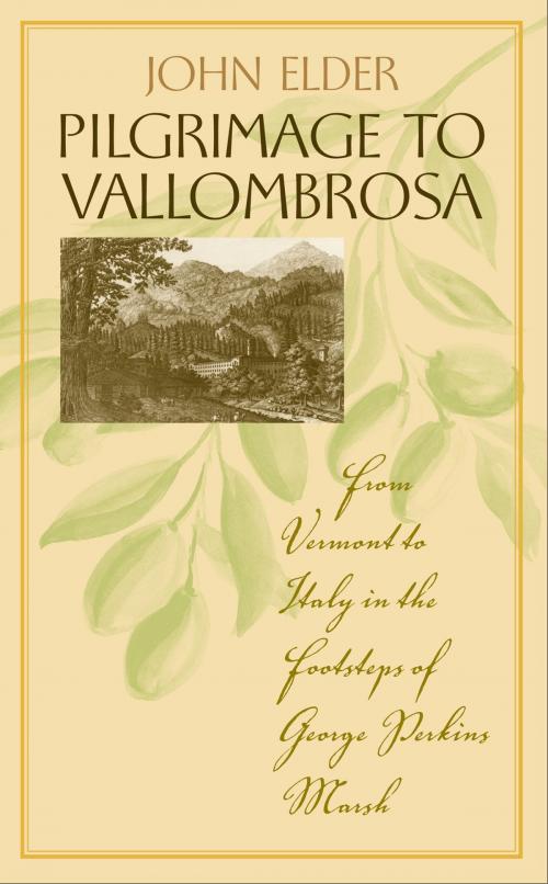 Cover of the book Pilgrimage to Vallombrosa by John Elder, University of Virginia Press