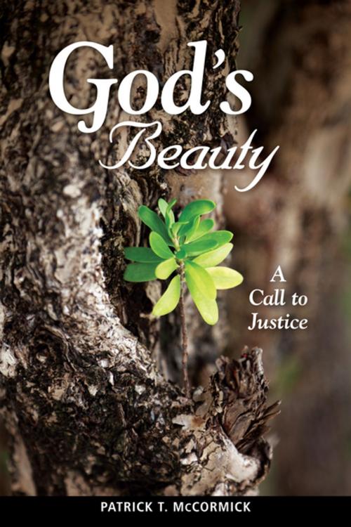 Cover of the book God's Beauty by Patrick T. McCormick, Liturgical Press