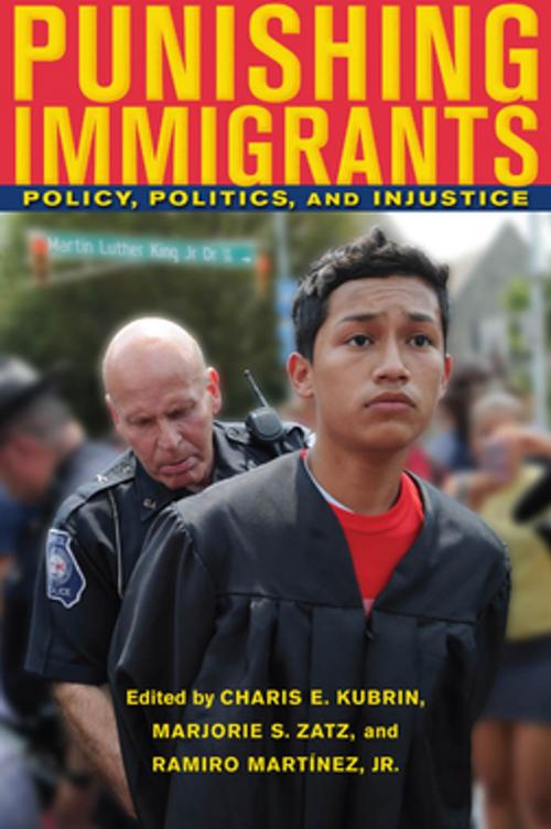Cover of the book Punishing Immigrants by , NYU Press