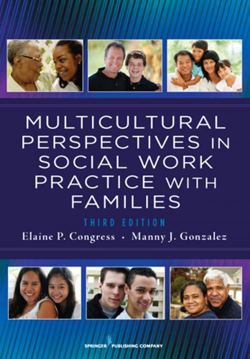 Cover of the book Multicultural Perspectives In Social Work Practice with Families, 3rd Edition by , Springer Publishing Company